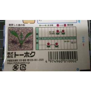 3袋以上でクーポン割引 ネモフィラ 種 郵便は...の詳細画像2