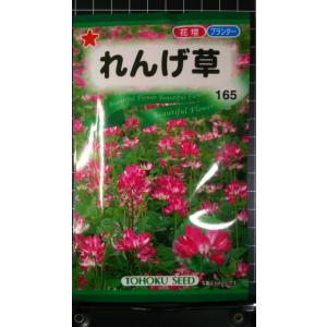 ３袋以上でクーポン割引 れんげ 草 種 郵便は送料無料 レンゲ