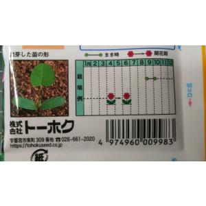 3袋以上でクーポン割引 れんげ 草 種 郵便は...の詳細画像2