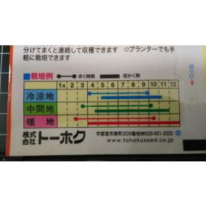 3袋以上でクーポン割引 あまい サラダ スティ...の詳細画像2
