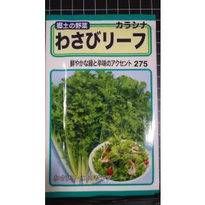 ３袋以上でクーポン割引 わさびリーフ カラシナ ワサビ 山葵 種 郵便は送料無料
