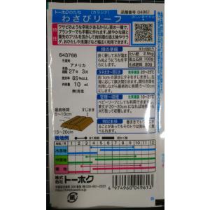 3袋以上でクーポン割引 わさびリーフ カラシナ...の詳細画像1