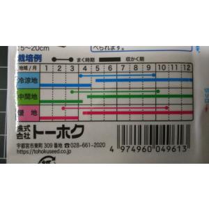 3袋以上でクーポン割引 わさびリーフ カラシナ...の詳細画像2