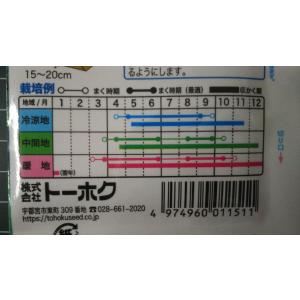 3袋以上でクーポン割引 赤丸はつか ラディッシ...の詳細画像2