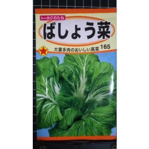３袋以上でクーポン割引 ばしょう菜 高菜 たかな 種 郵便は送料無料