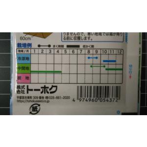 3袋以上でクーポン割引 ばしょう菜 高菜 たか...の詳細画像2