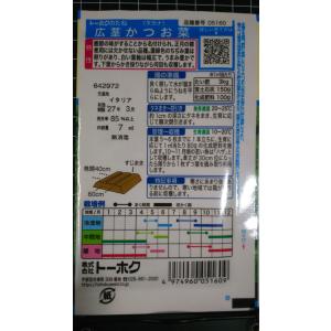 3袋以上でクーポン割引 広茎 かつお菜 かつお...の詳細画像1