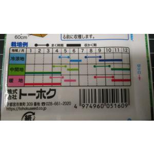 3袋以上でクーポン割引 広茎 かつお菜 かつお...の詳細画像2