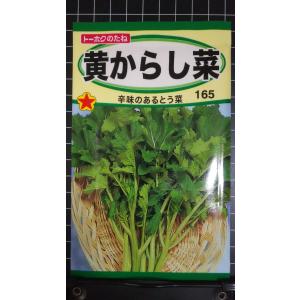 ３袋以上でクーポン割引 黄 からし菜 からしな とう菜 種 郵便は送料無料