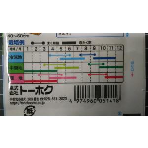 3袋以上でクーポン割引 黄 からし菜 からしな...の詳細画像2
