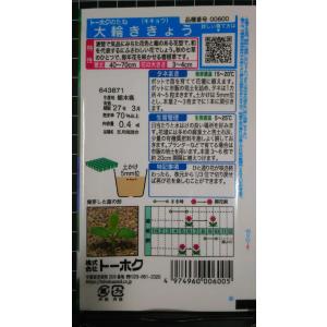 3袋以上でクーポン割引 大輪 ききょう 桔梗 ...の詳細画像1