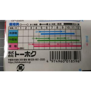 3袋以上でクーポン割引 キスミー はつか ミニ...の詳細画像2