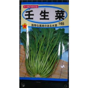 ３袋以上でクーポン割引 壬生菜 みぶな 水菜 種 郵便は送料無料