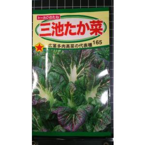 ３袋以上でクーポン割引 三池 たか菜 たかな 高菜 種 郵便は送料無料