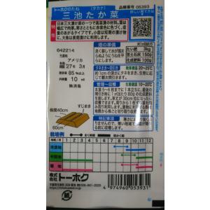 3袋以上でクーポン割引 三池 たか菜 たかな ...の詳細画像1