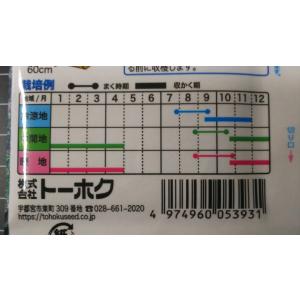 3袋以上でクーポン割引 三池 たか菜 たかな ...の詳細画像2