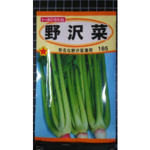 ３袋以上でクーポン割引 野沢菜 のざわな 種 郵便は送料無料