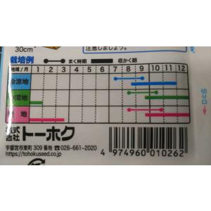 3袋以上でクーポン割引 野沢菜 のざわな 種 ...の詳細画像2