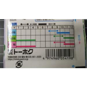 3袋以上でクーポン割引 大葉 高菜 広茎 たか...の詳細画像2