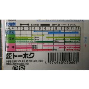 3袋以上でクーポン割引 パセリ 種 郵便は送料無料の詳細画像2