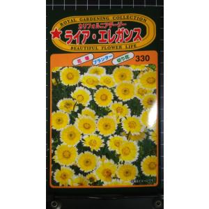 ３袋以上でクーポン割引 ライア エレガンス カリフォルニア デージー 種 郵便は送料無料