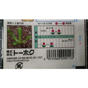 3袋以上でクーポン割引 ライア エレガンス カ...の詳細画像2