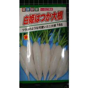 3袋以上でクーポン割引 白姫はつか ミニ20日 ...の商品画像