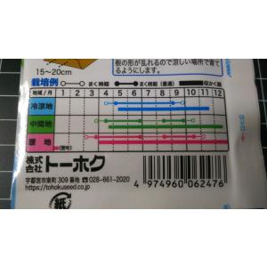 3袋以上でクーポン割引 白姫はつか ミニ20日...の詳細画像2