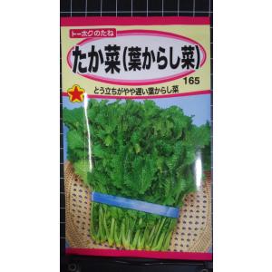 ３袋以上でクーポン割引 たか菜 葉 からし菜 カラシナ 種 郵便は送料無料