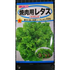 ３袋以上でクーポン割引 焼肉用 レタス チマサンチ チマサンチュ チマサンテ リーフ 種 郵便は送料無料
