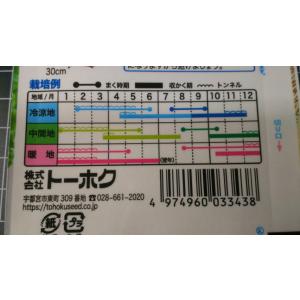 3袋以上でクーポン割引 焼肉用 レタス チマサ...の詳細画像2