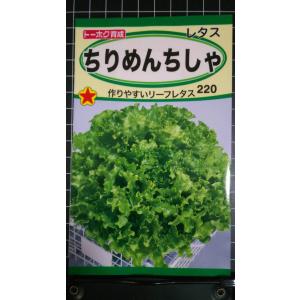 3袋以上でクーポン割引 ちりめん ちしゃ リーフ...の商品画像