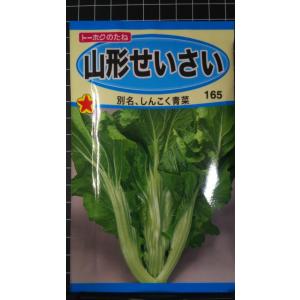 ３袋以上でクーポン割引 山形 せいさい しんこく 青菜 種 郵便は送料無料