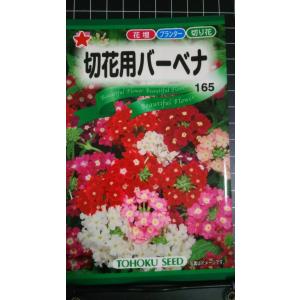 ３袋以上でクーポン割引 切花用 バーベナ 種 郵便は送料無料