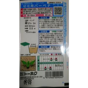 3袋以上でクーポン割引 切花用 バーベナ 種 ...の詳細画像1