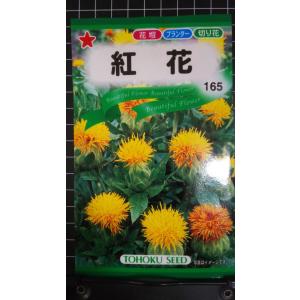 3袋以上でクーポン割引 紅花 ベニバナ 種 郵便...の商品画像