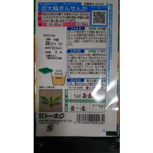 3袋以上でクーポン割引 巨大輪 きんせんか 金...の詳細画像1