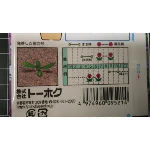 3袋以上でクーポン割引 フロックス ビューティ...の詳細画像2