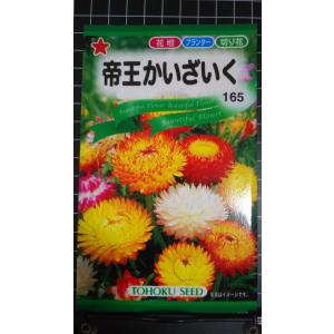 ３袋以上でクーポン割引 帝王 かいざいく 貝細工 種 郵便は送料無料