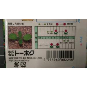 3袋以上でクーポン割引 帝王 かいざいく 貝細...の詳細画像2