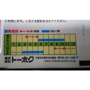 3袋以上でクーポン割引 レモンバーム 種 郵便...の詳細画像2