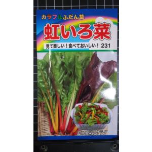 ３袋以上でクーポン割引 虹色菜 カラフル ふだん草 フダンソウ 虹いろ菜 にじいろな 種 郵便は送料無料