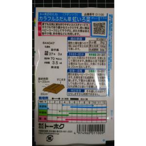 3袋以上でクーポン割引 虹色菜 カラフル ふだ...の詳細画像1