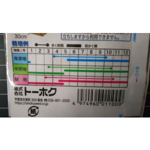 3袋以上でクーポン割引 虹色菜 カラフル ふだ...の詳細画像2