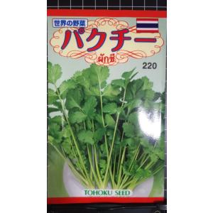 ３袋以上でクーポン割引 パクチー コリアンダー 種 郵便は送料無料