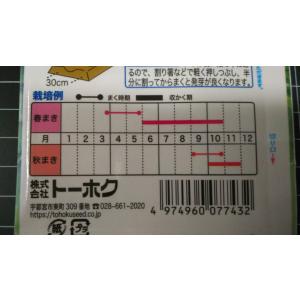 3袋以上でクーポン割引 パクチー コリアンダー...の詳細画像2