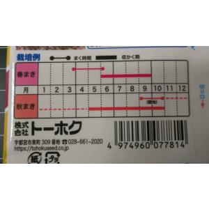 3袋以上でクーポン割引 ペパーミント 種 郵便...の詳細画像2