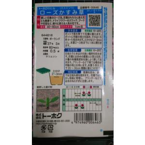 3袋以上でクーポン割引 ローズ かすみ草 カス...の詳細画像1