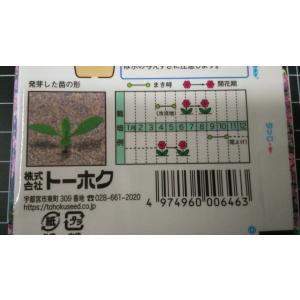 3袋以上でクーポン割引 ローズ かすみ草 カス...の詳細画像2