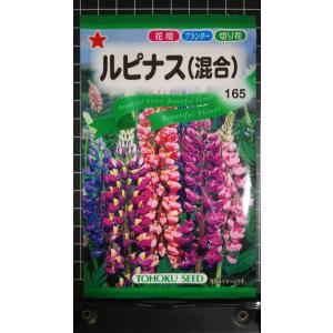 ３袋以上でクーポン割引 ルピナス 混合 種 郵便は送料無料